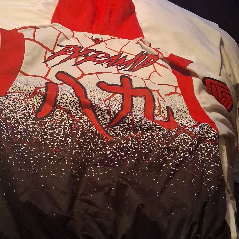clearence from $400 Bulls Red and White hoodie - Picture 10 of 16